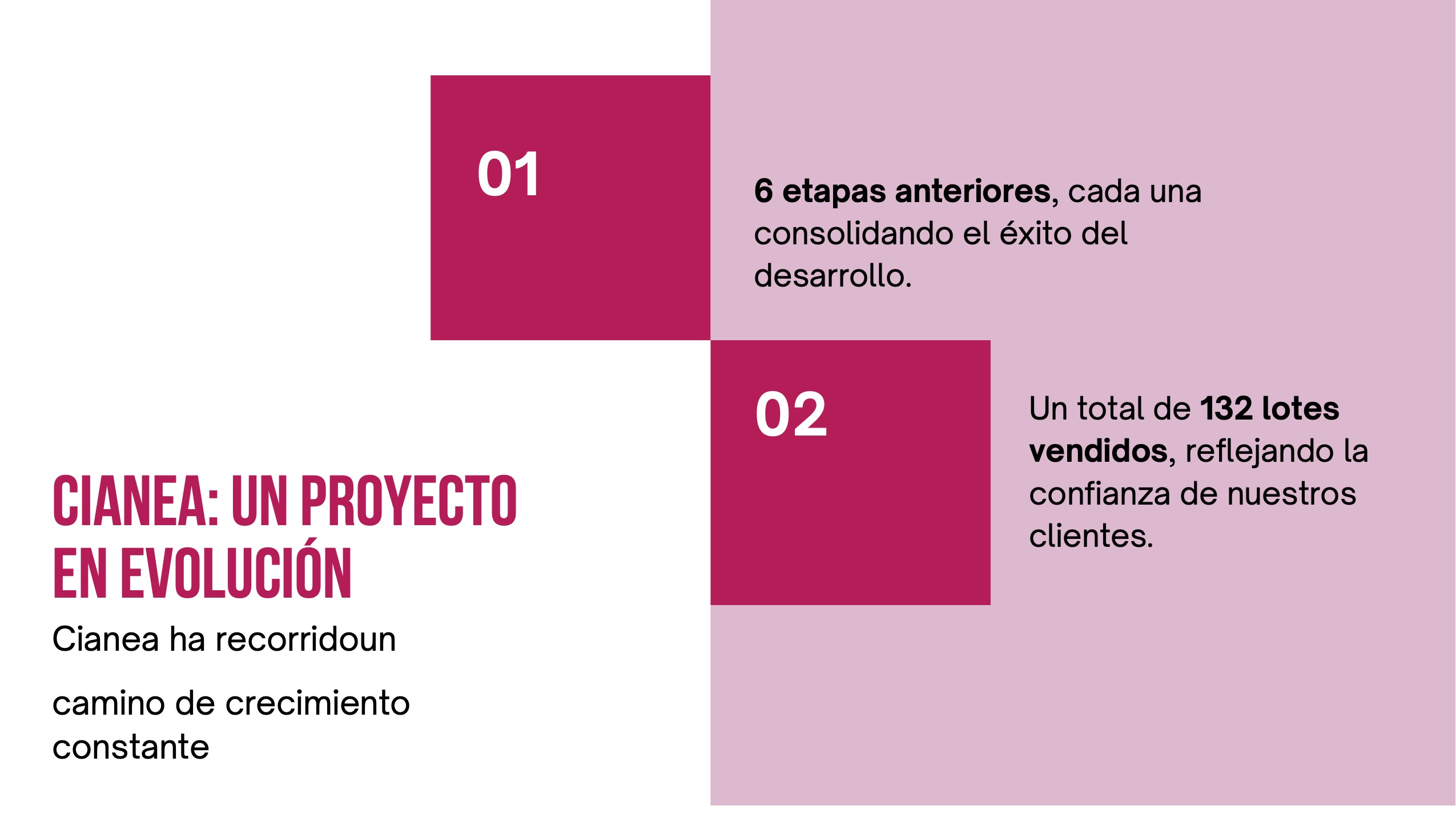 CIANEA_BROCHURE 3