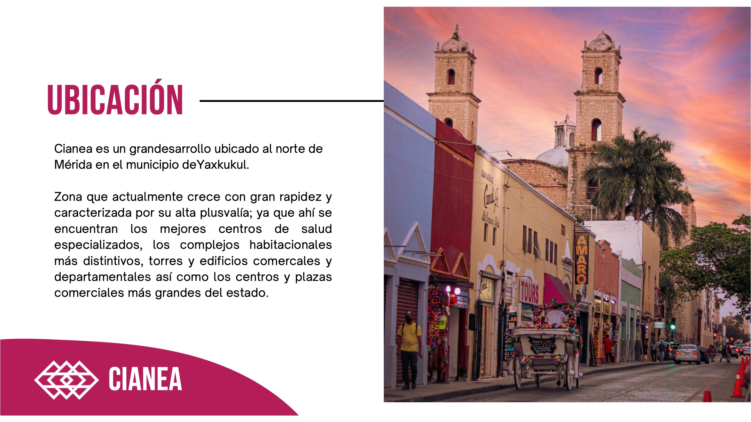 CIANEA_BROCHURE 6