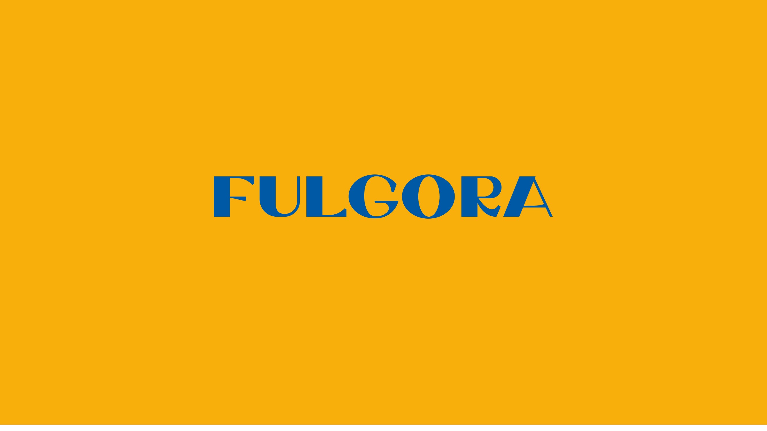 FULGORA_BROCHURE 18