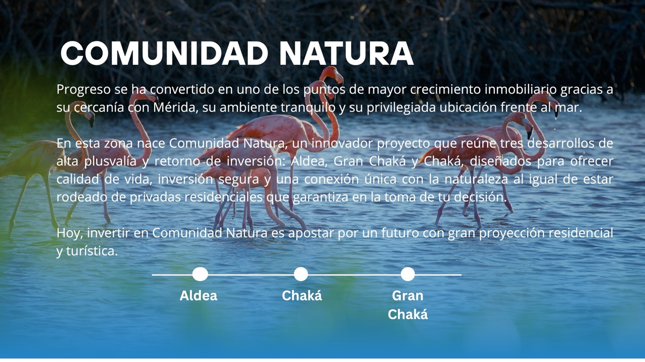 Comunidad Natura brochure 2