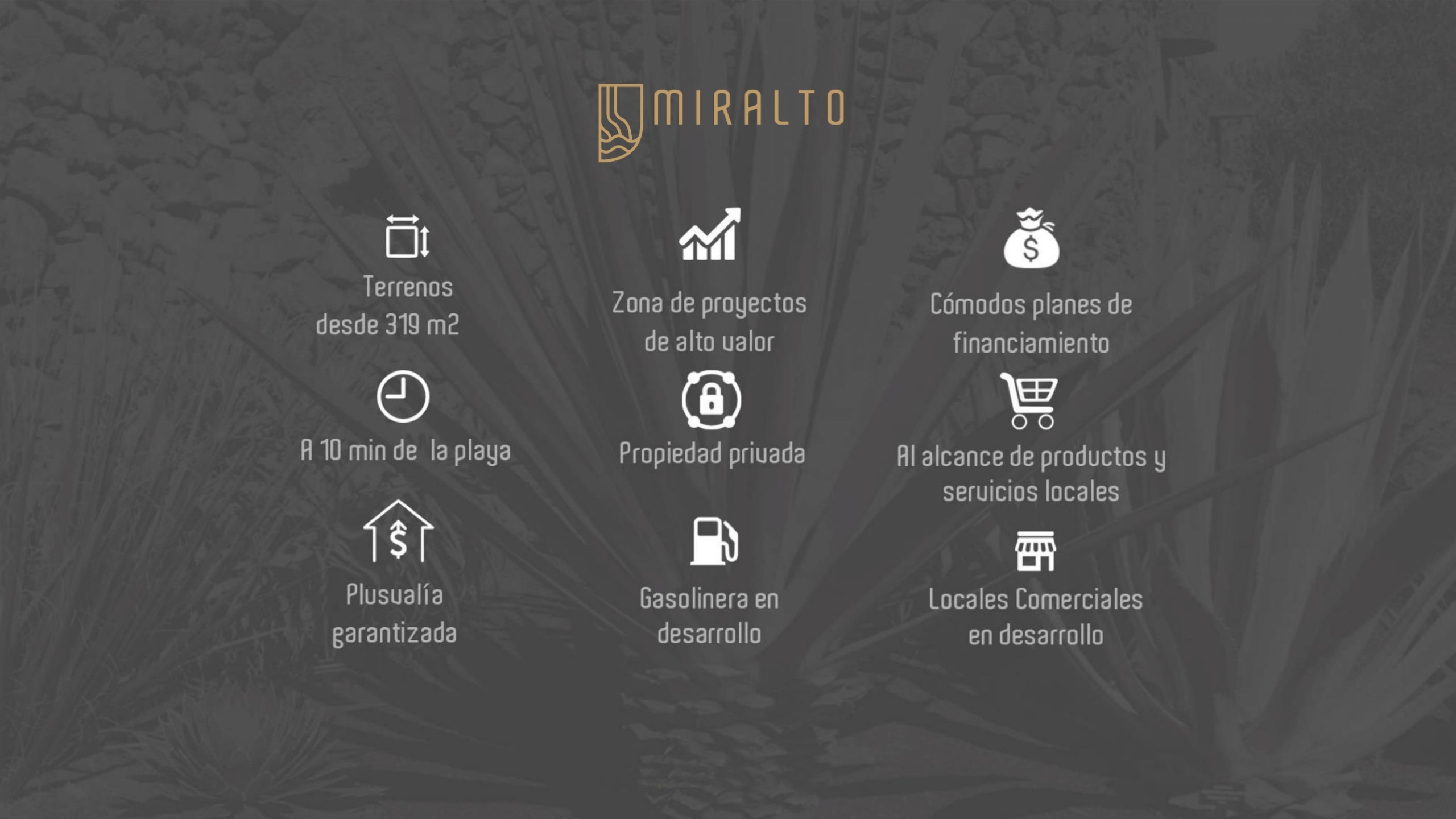 Miralto brochure 5