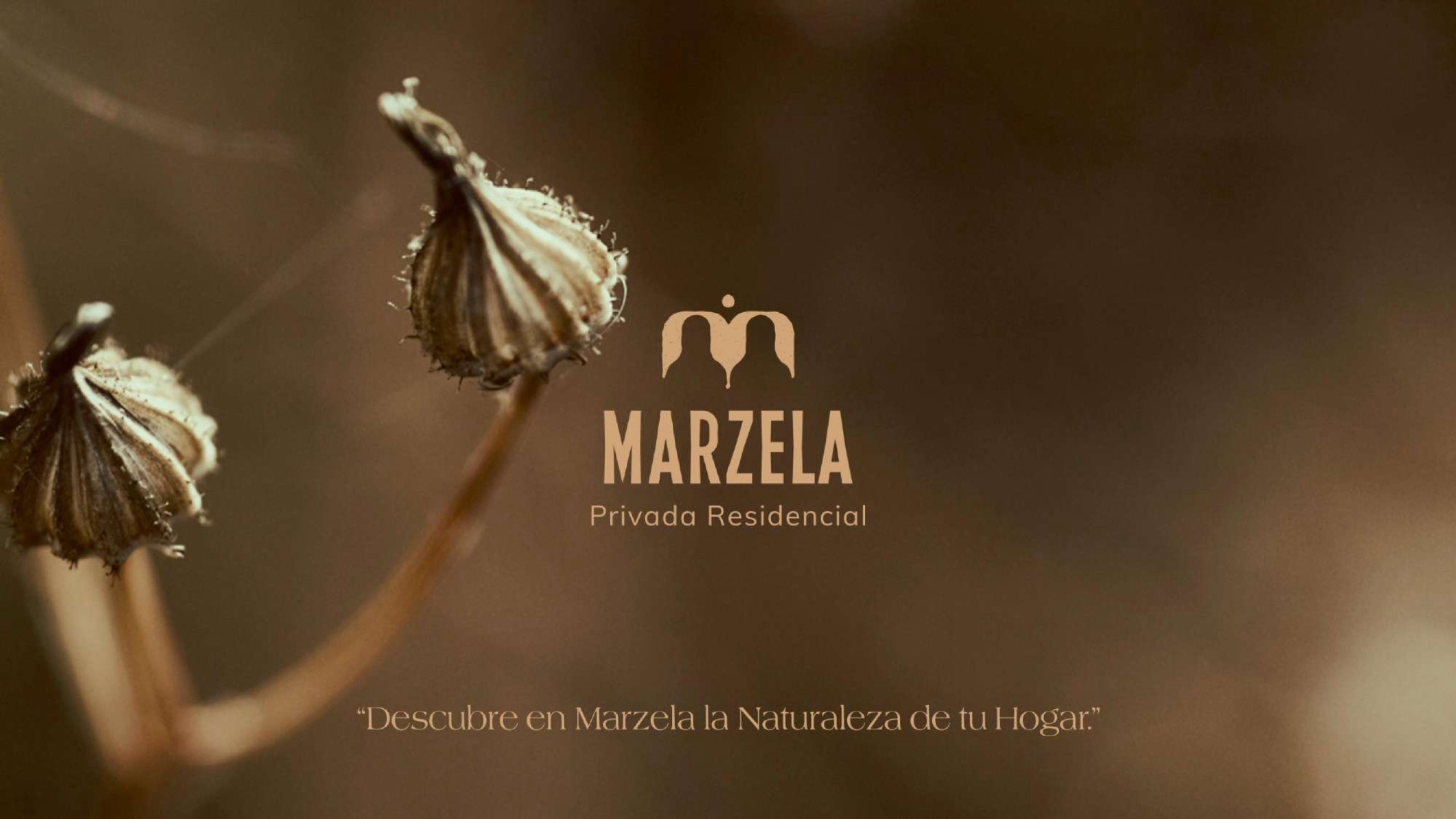 MARZELA_BROCHURE_compressed 1