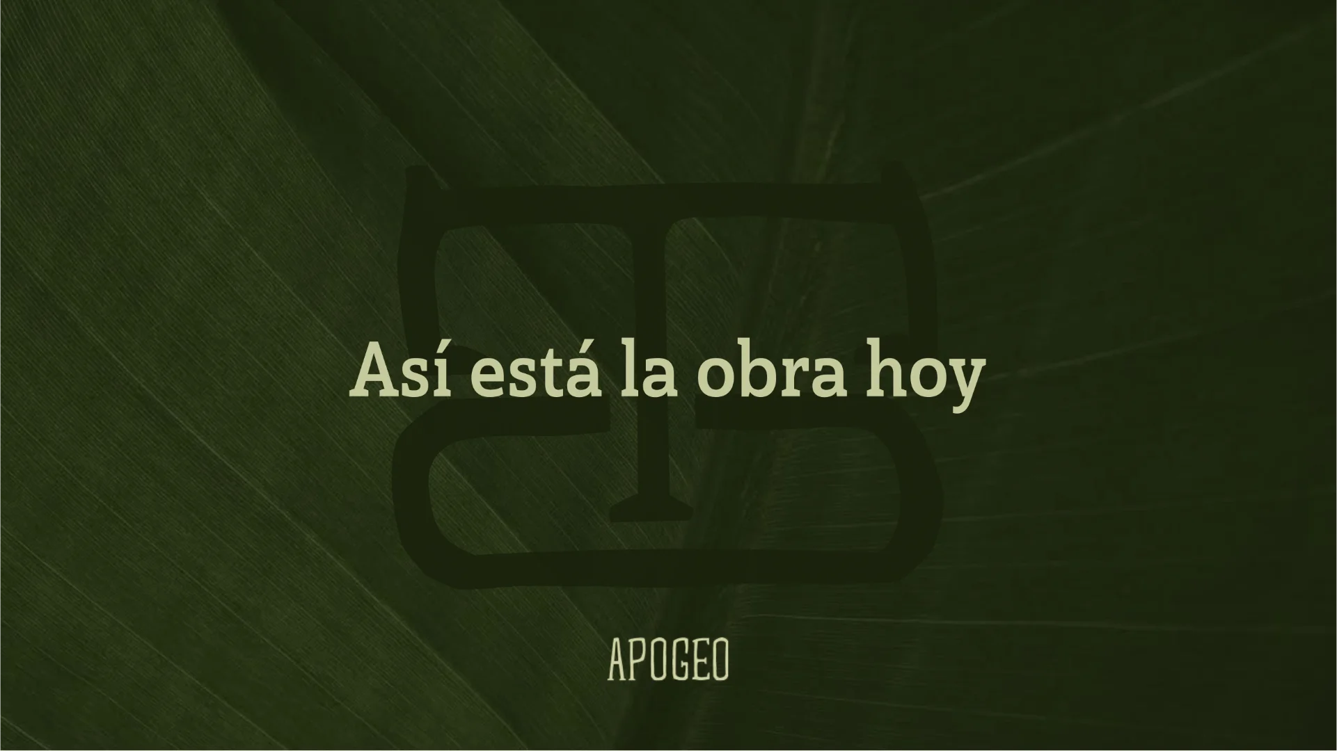 apogeo 13