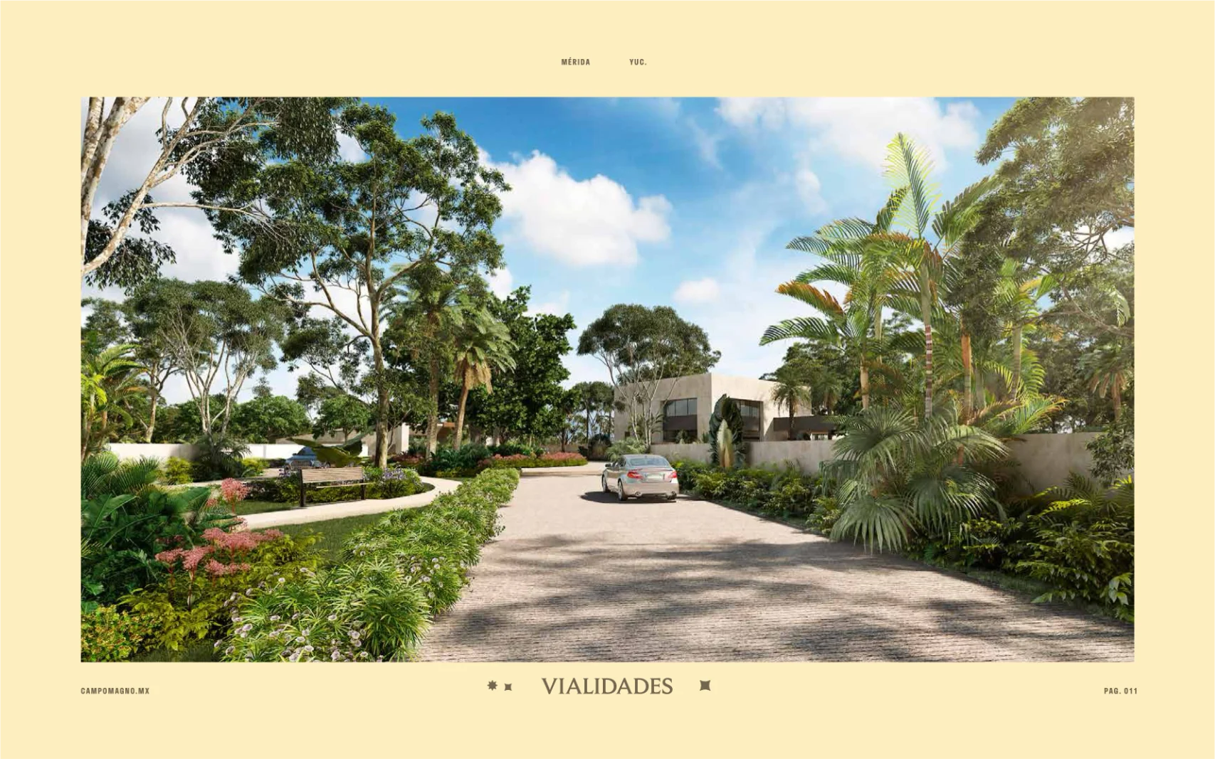 campo-magno 11