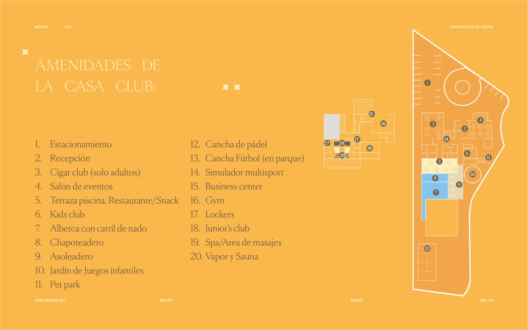 campo-magno 14