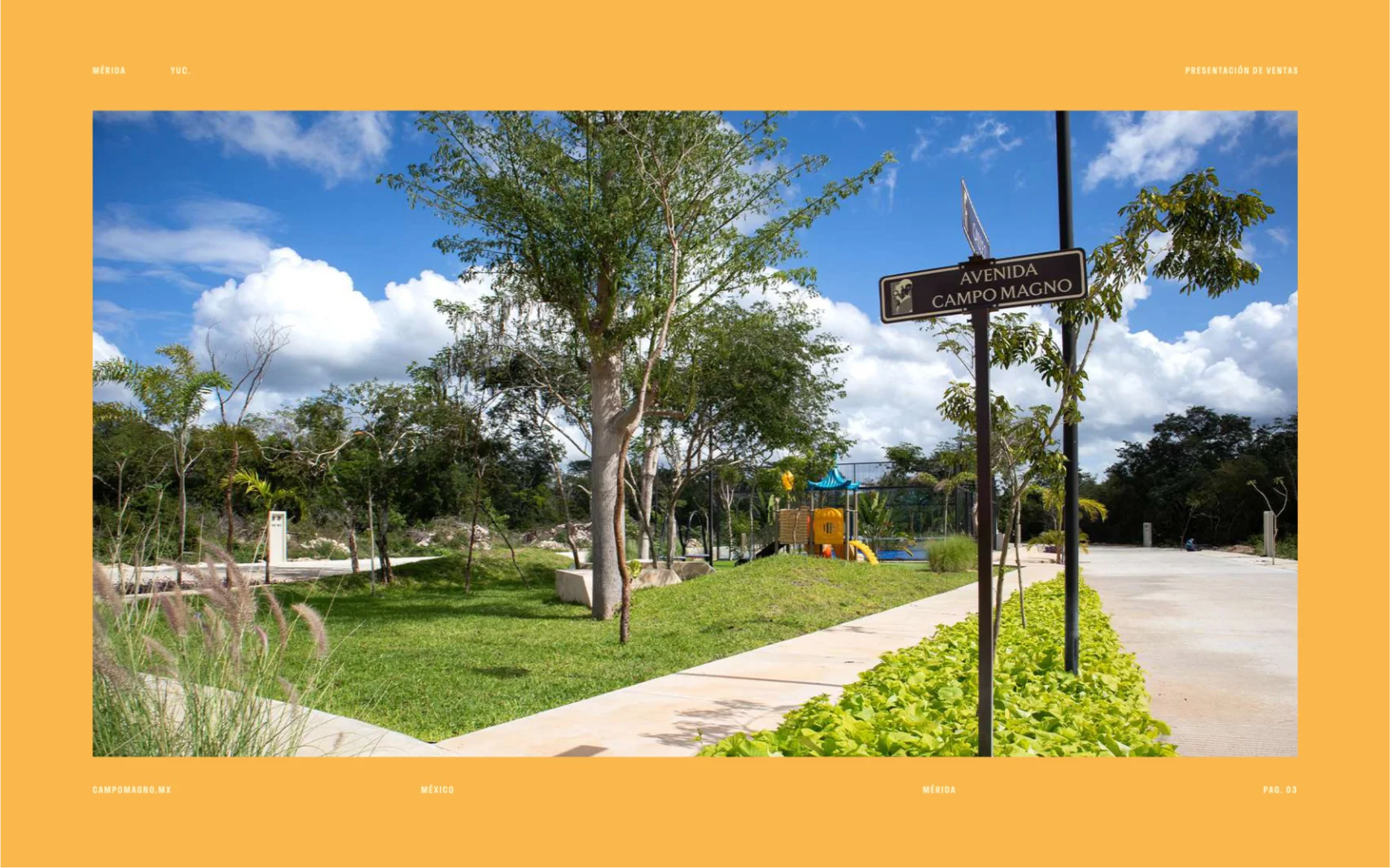 campo-magno 3