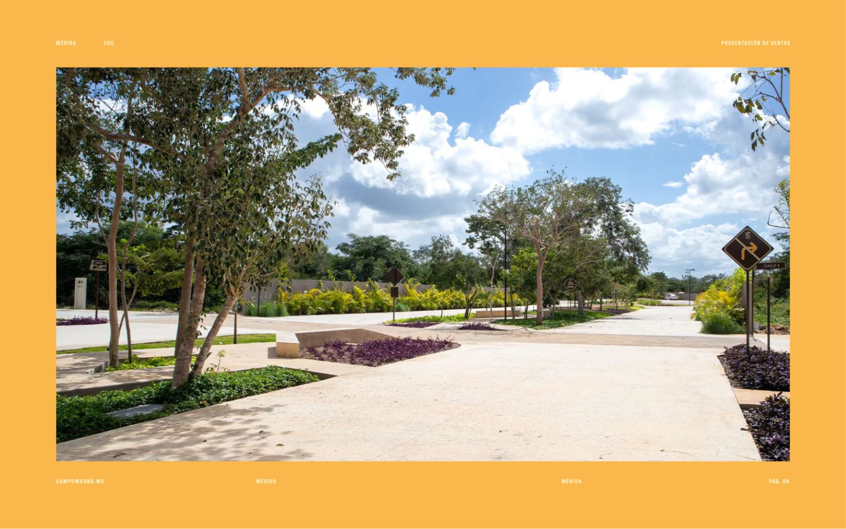 campo-magno 6