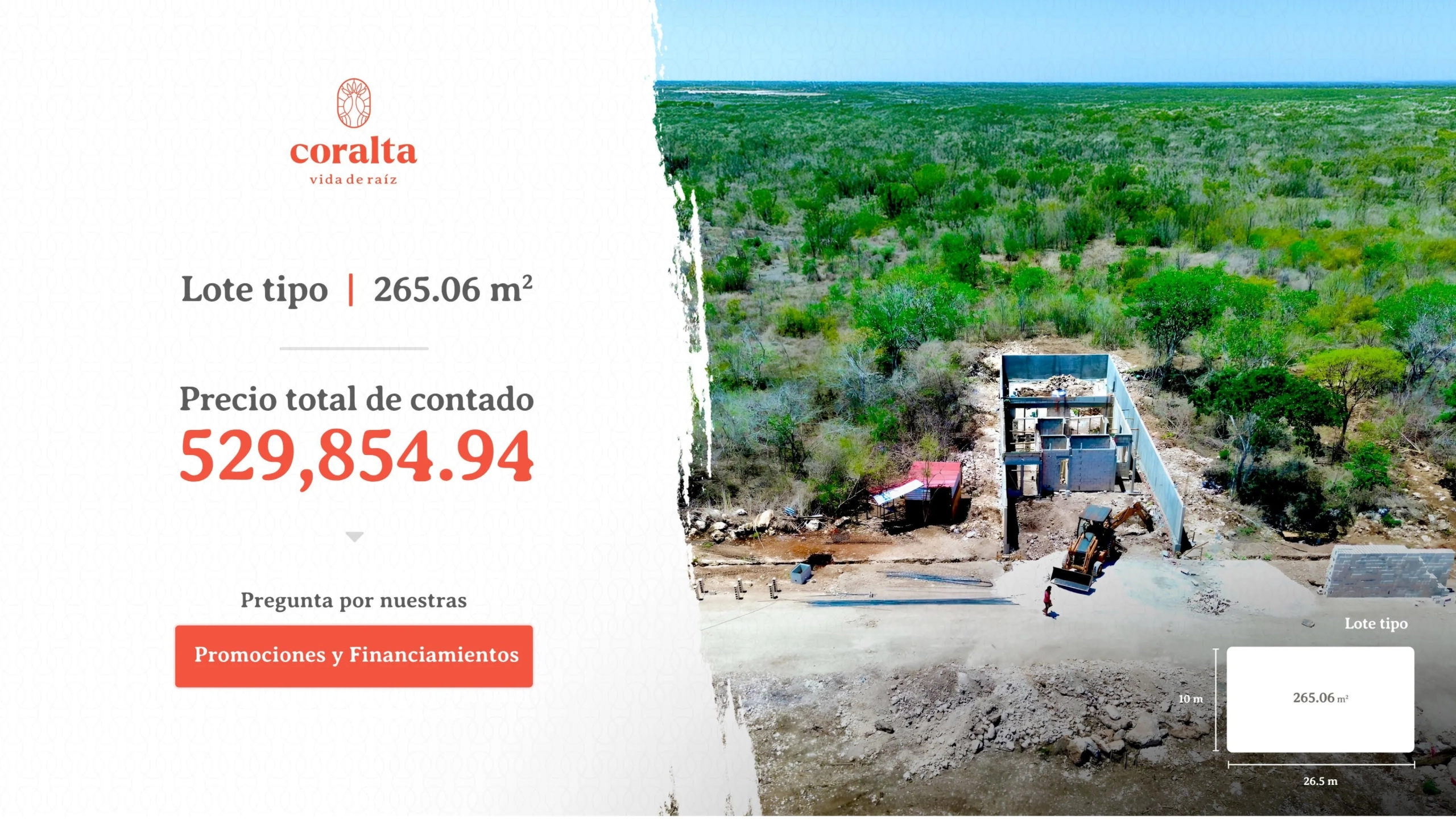 coralta_5