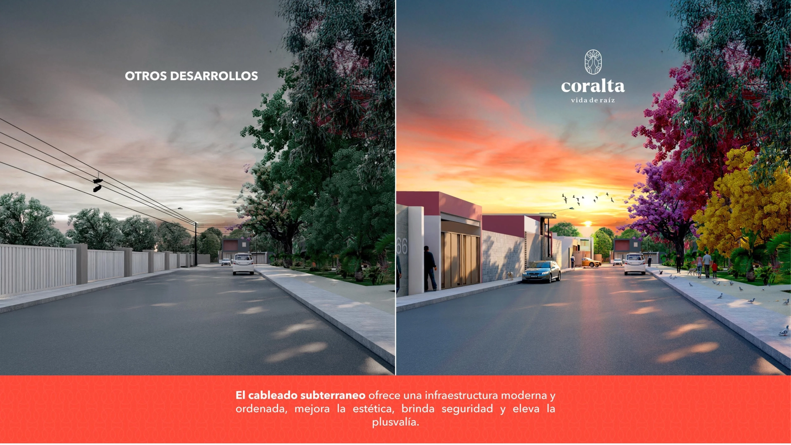 coralta_6