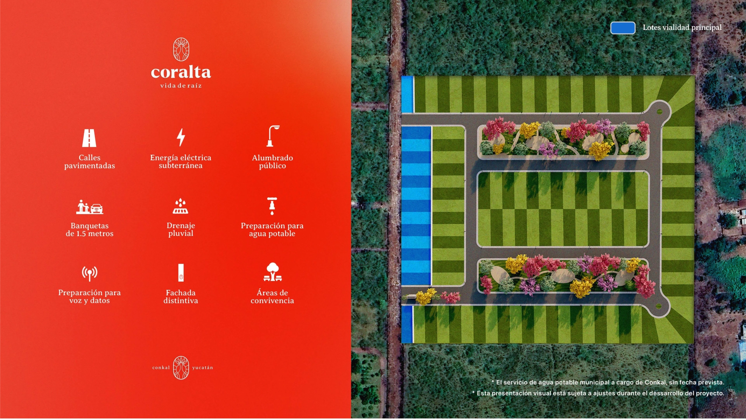 coralta_8