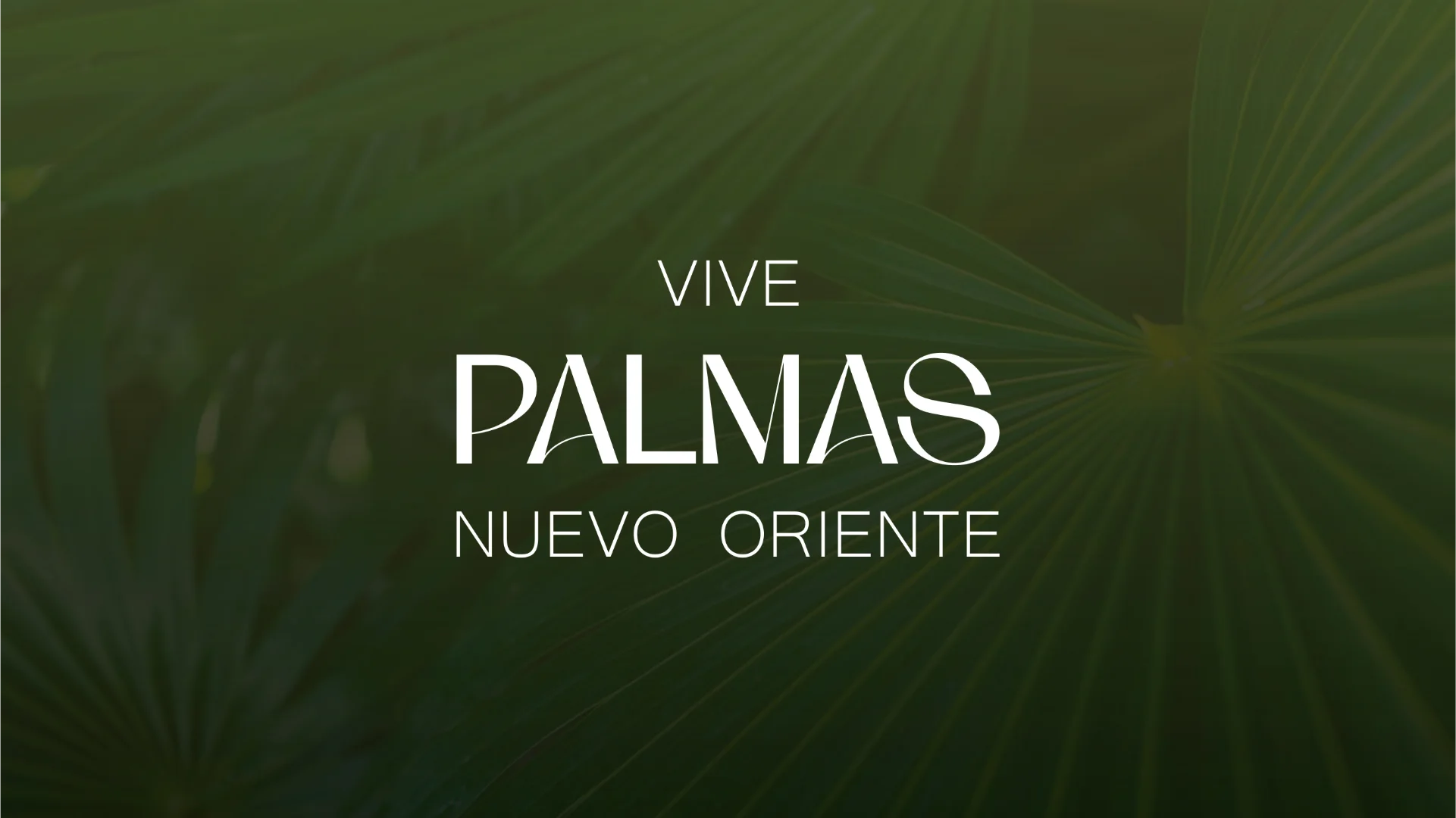 palmas