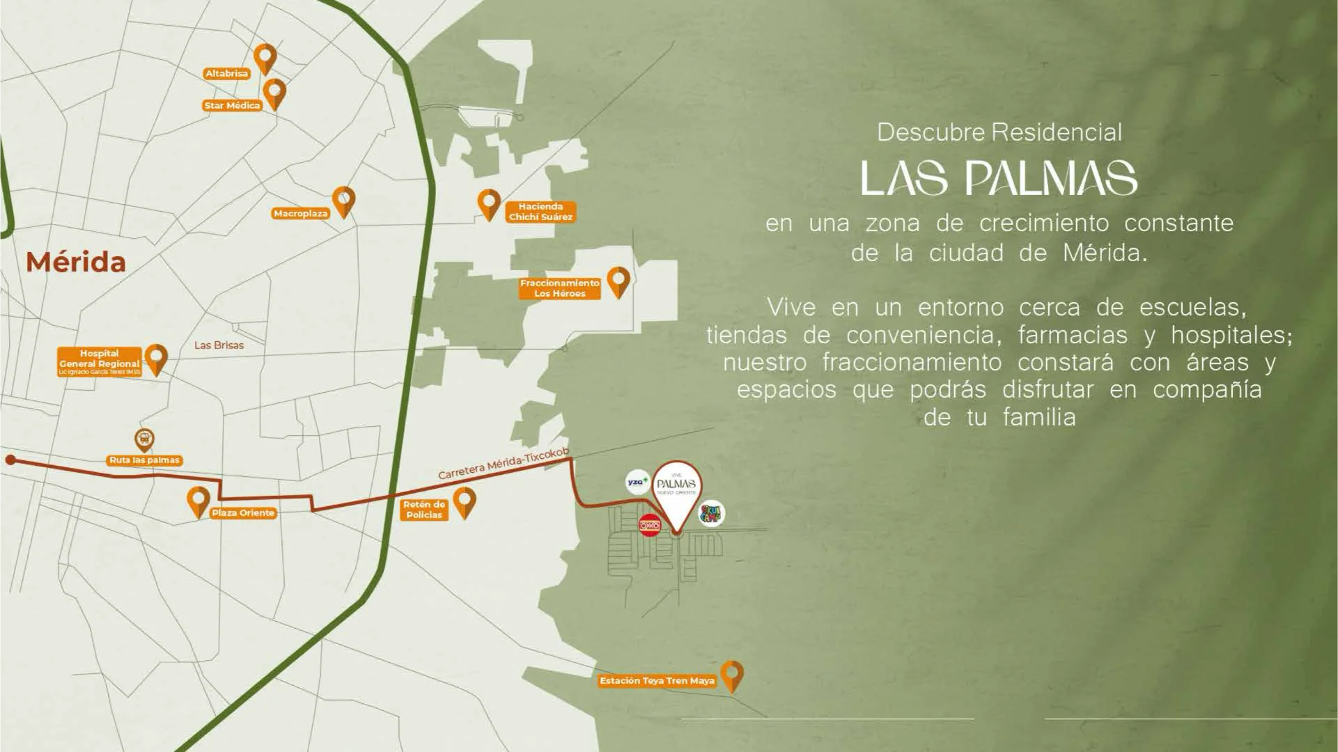 palmas_29