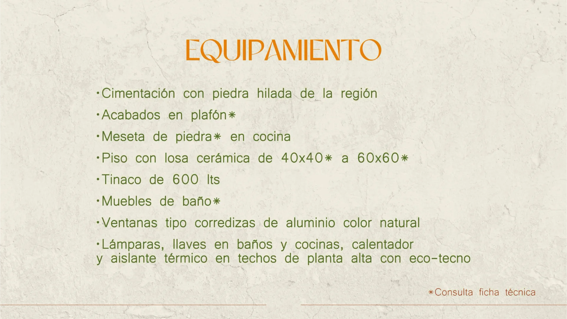 palmas_4