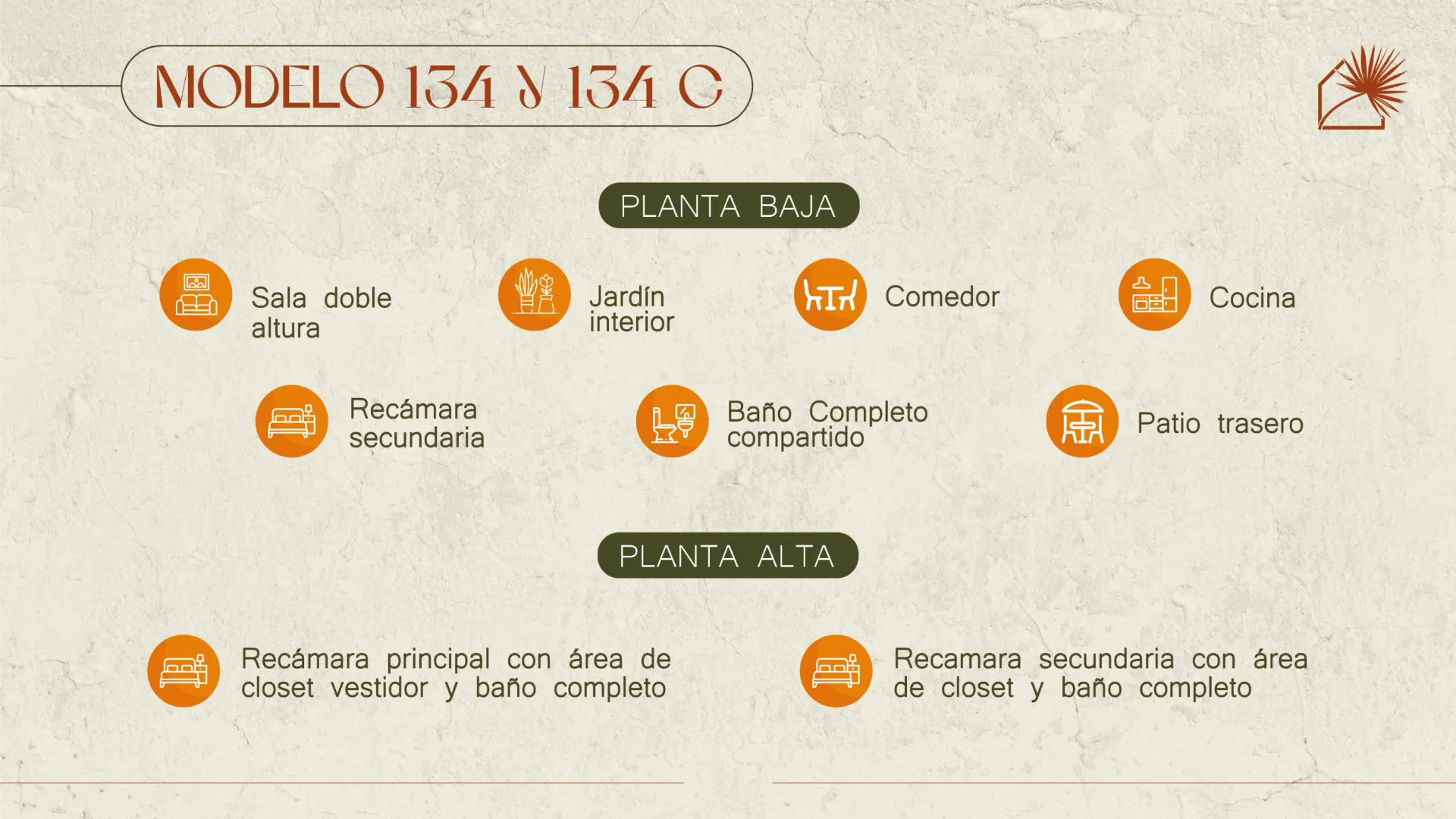 palmas_6