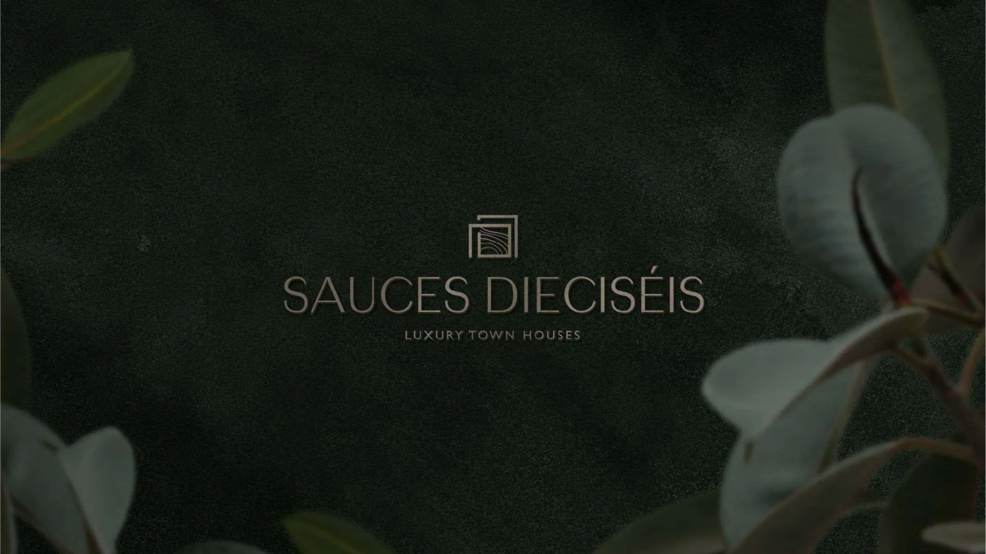 sauces 16 24