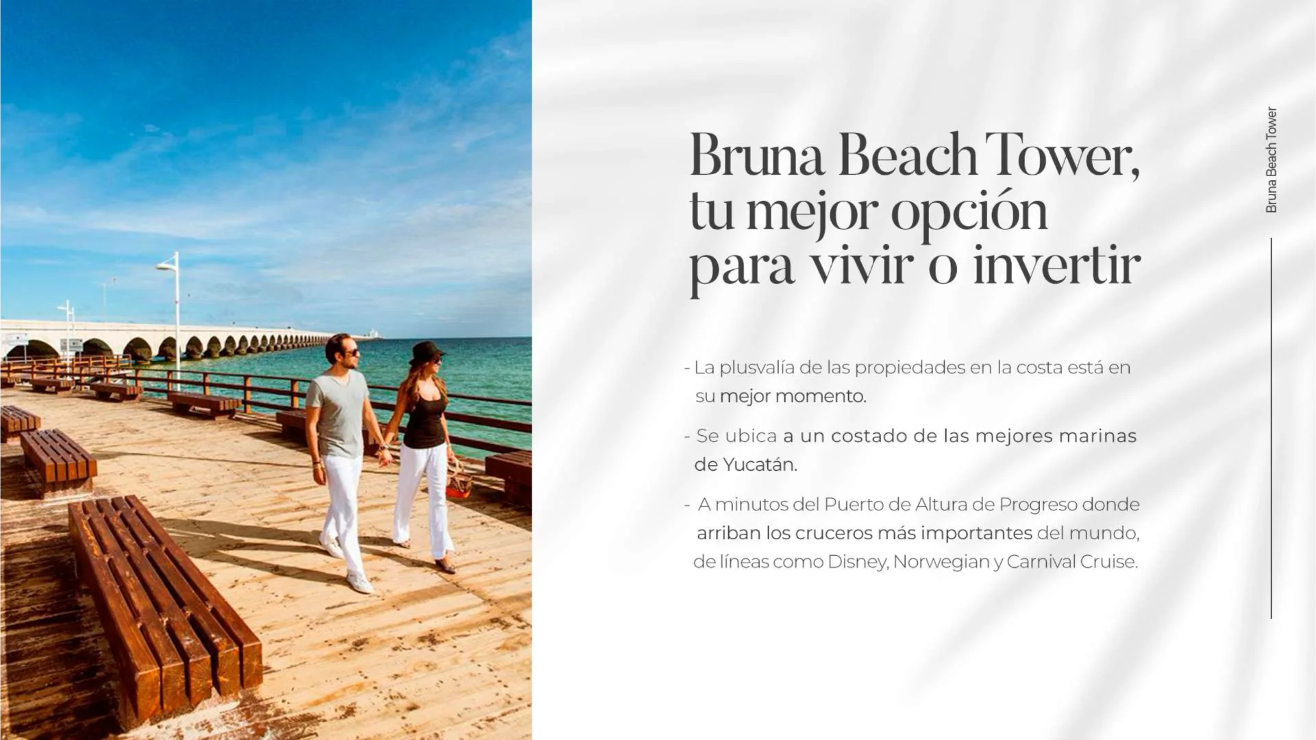 bruna 6