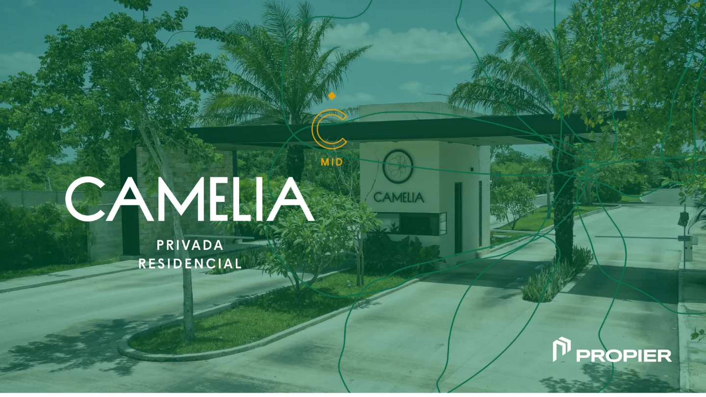 camelia2026 1