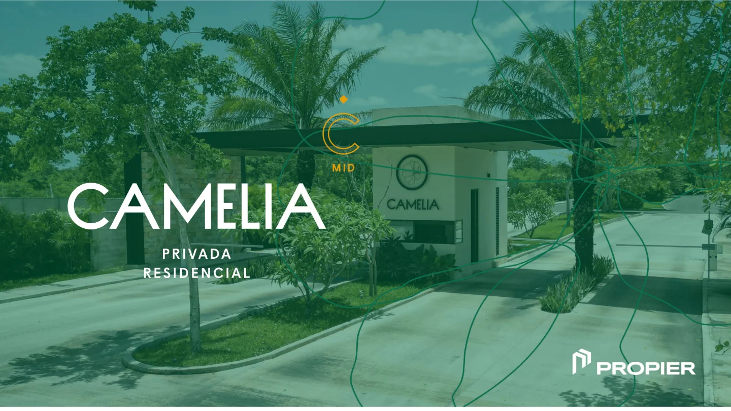 camelia2026 22