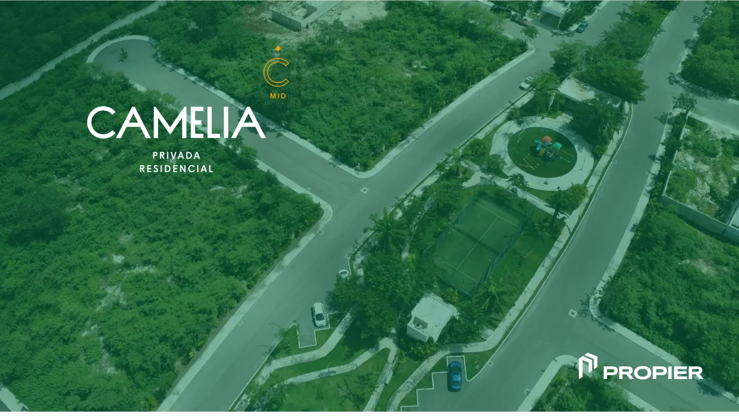 camelia2026 42
