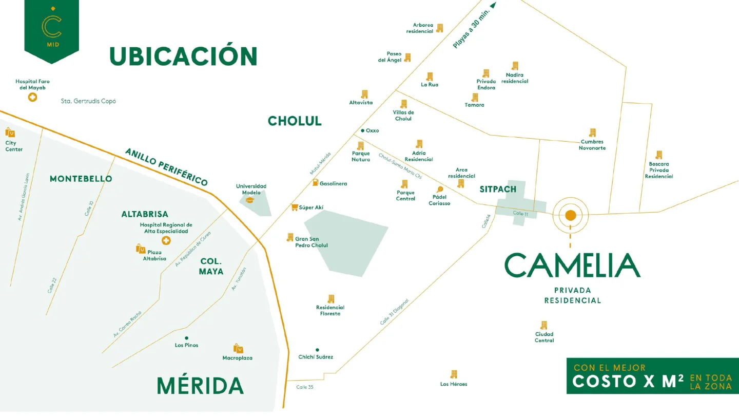 camelia2026 6