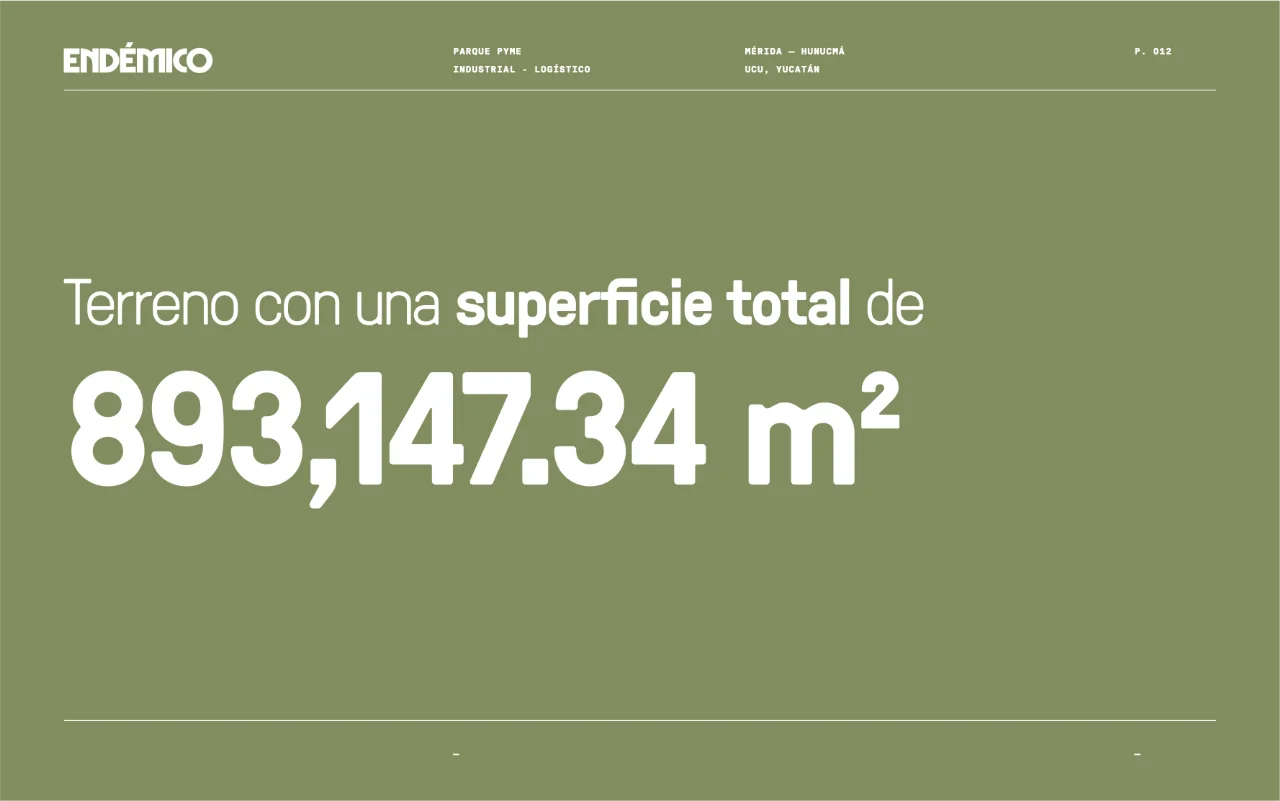 endemico 12