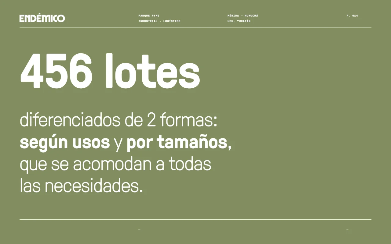 endemico 14