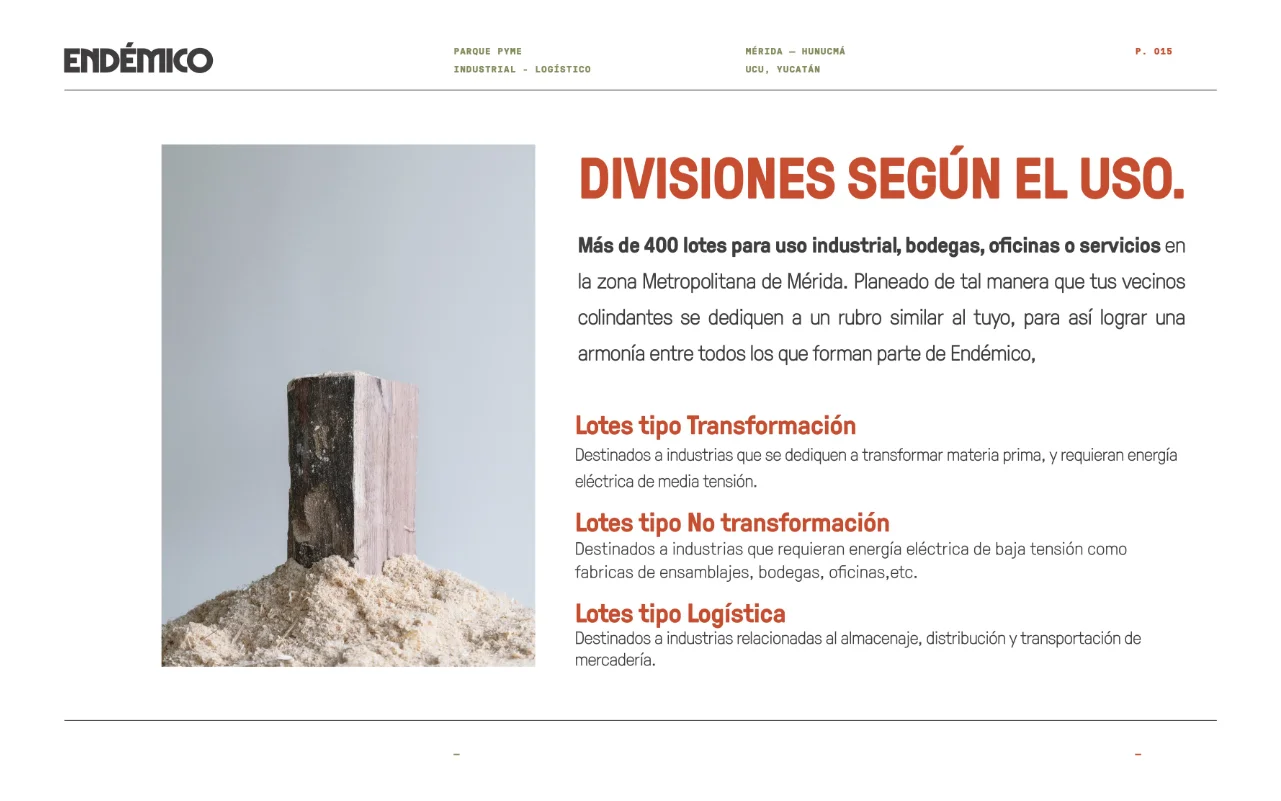 endemico 15