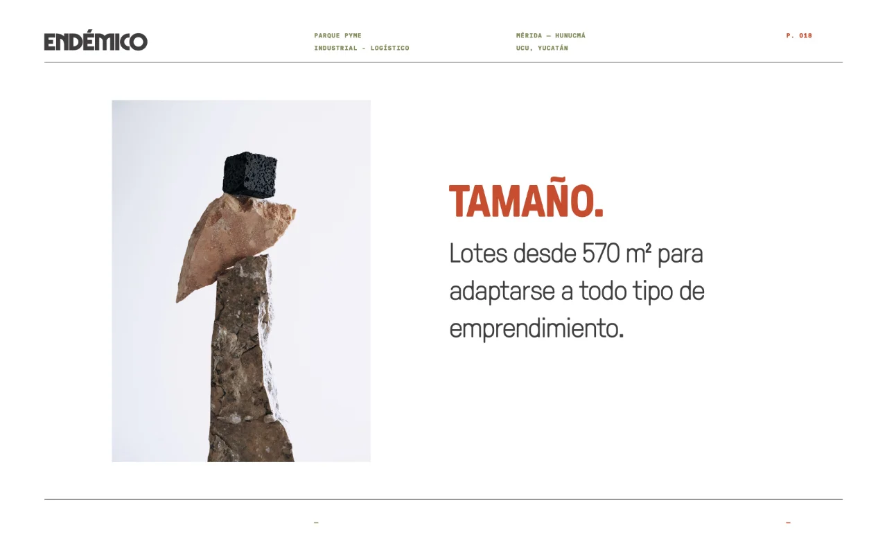 endemico 18