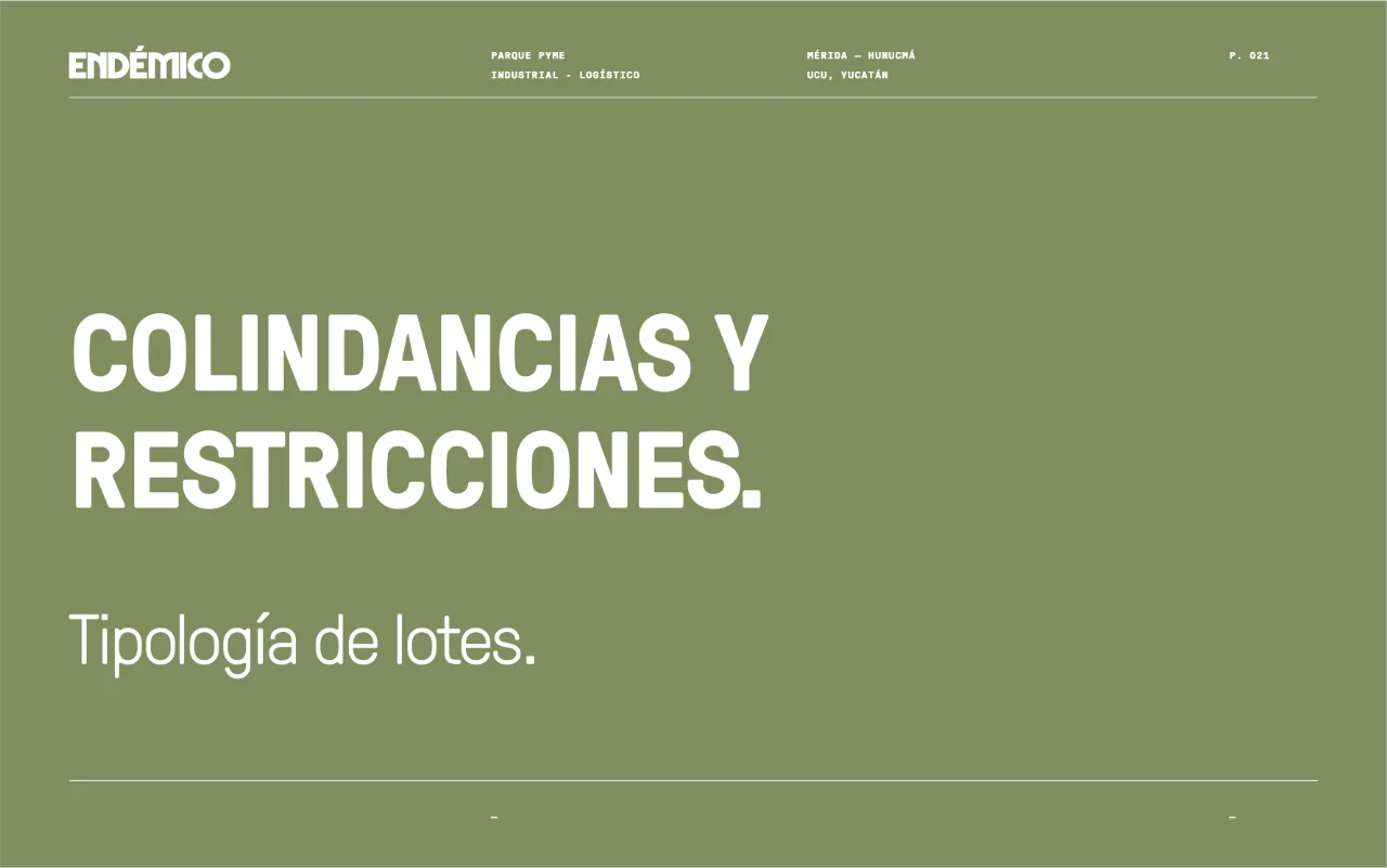 endemico 21