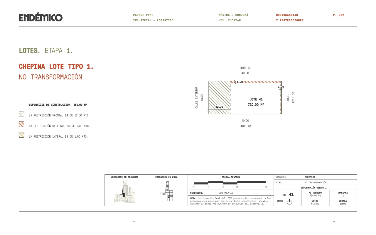 endemico 22