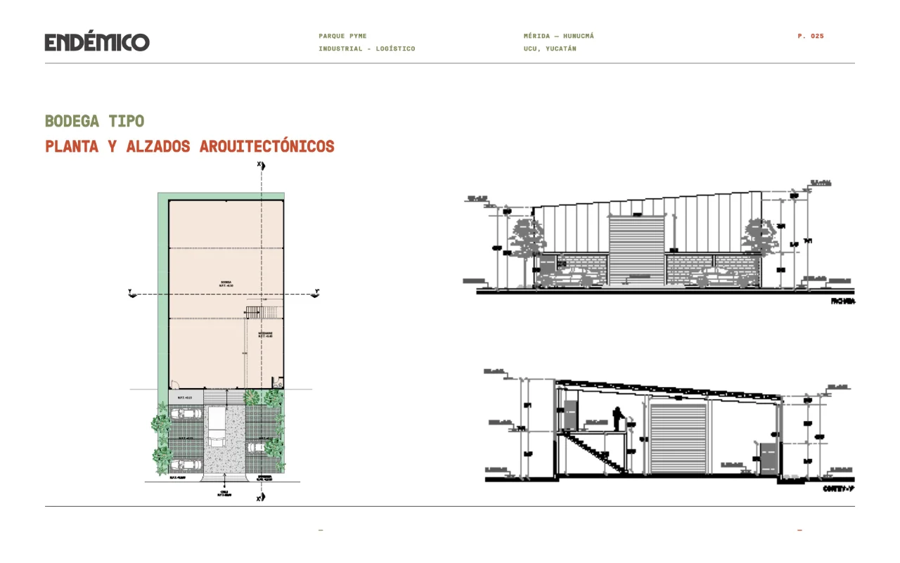 endemico 25