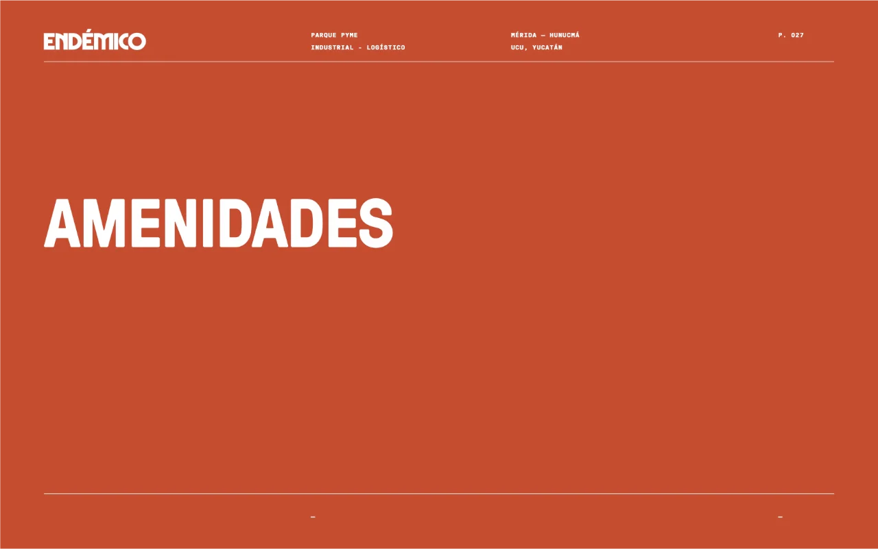 endemico 27