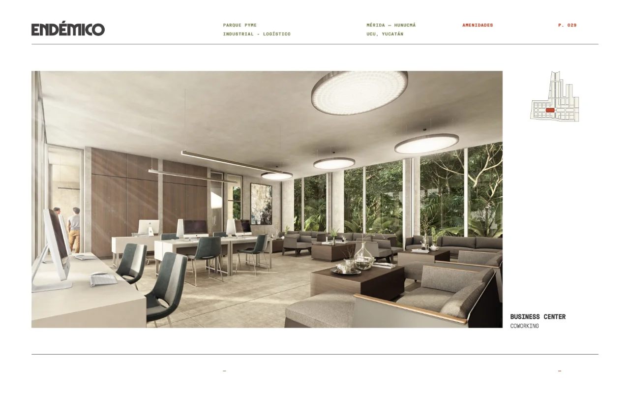 endemico 29