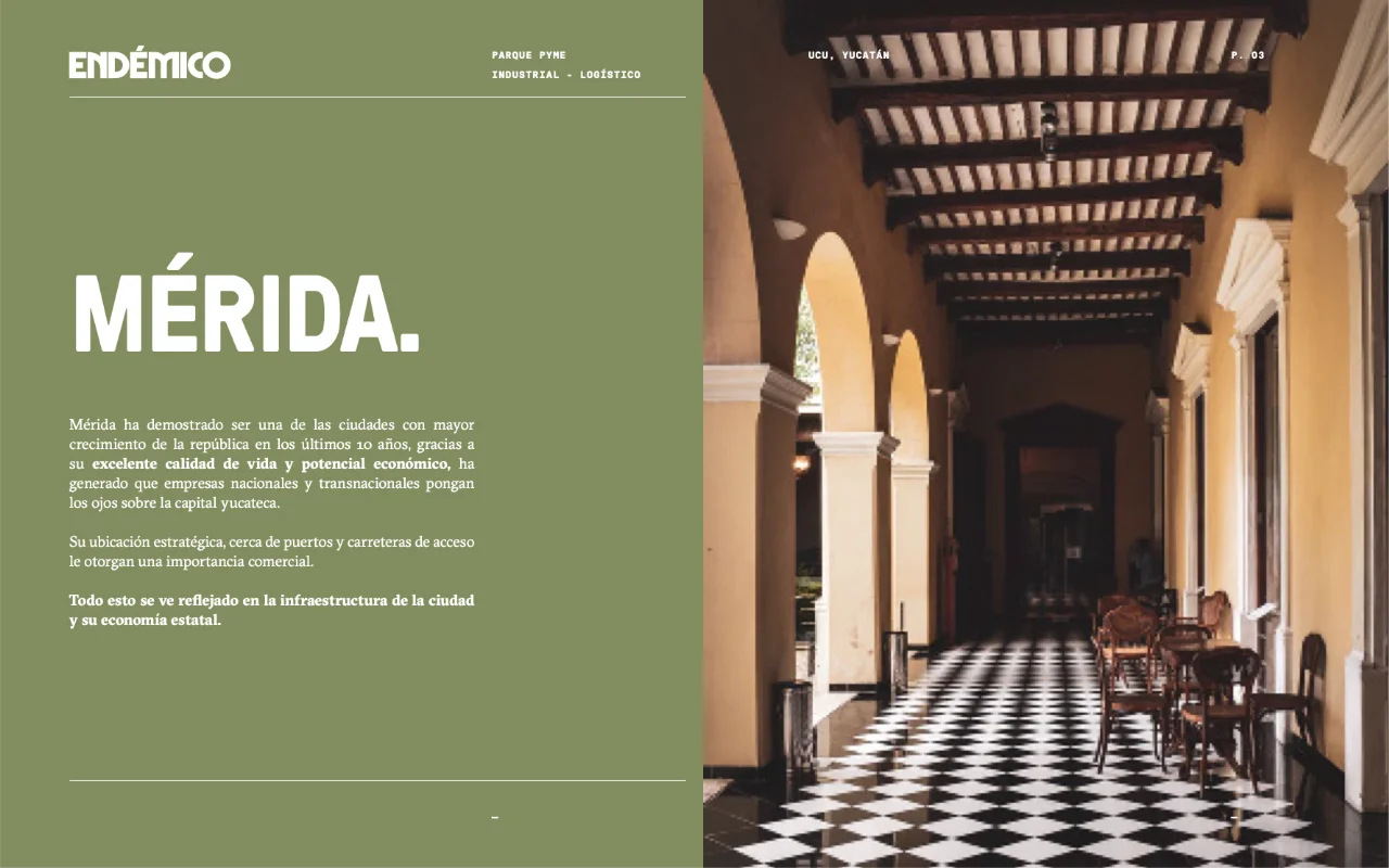 endemico 3