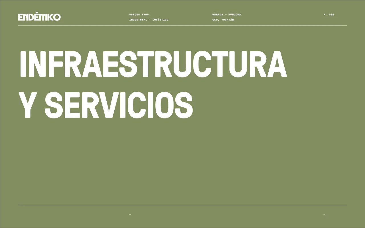 endemico 36
