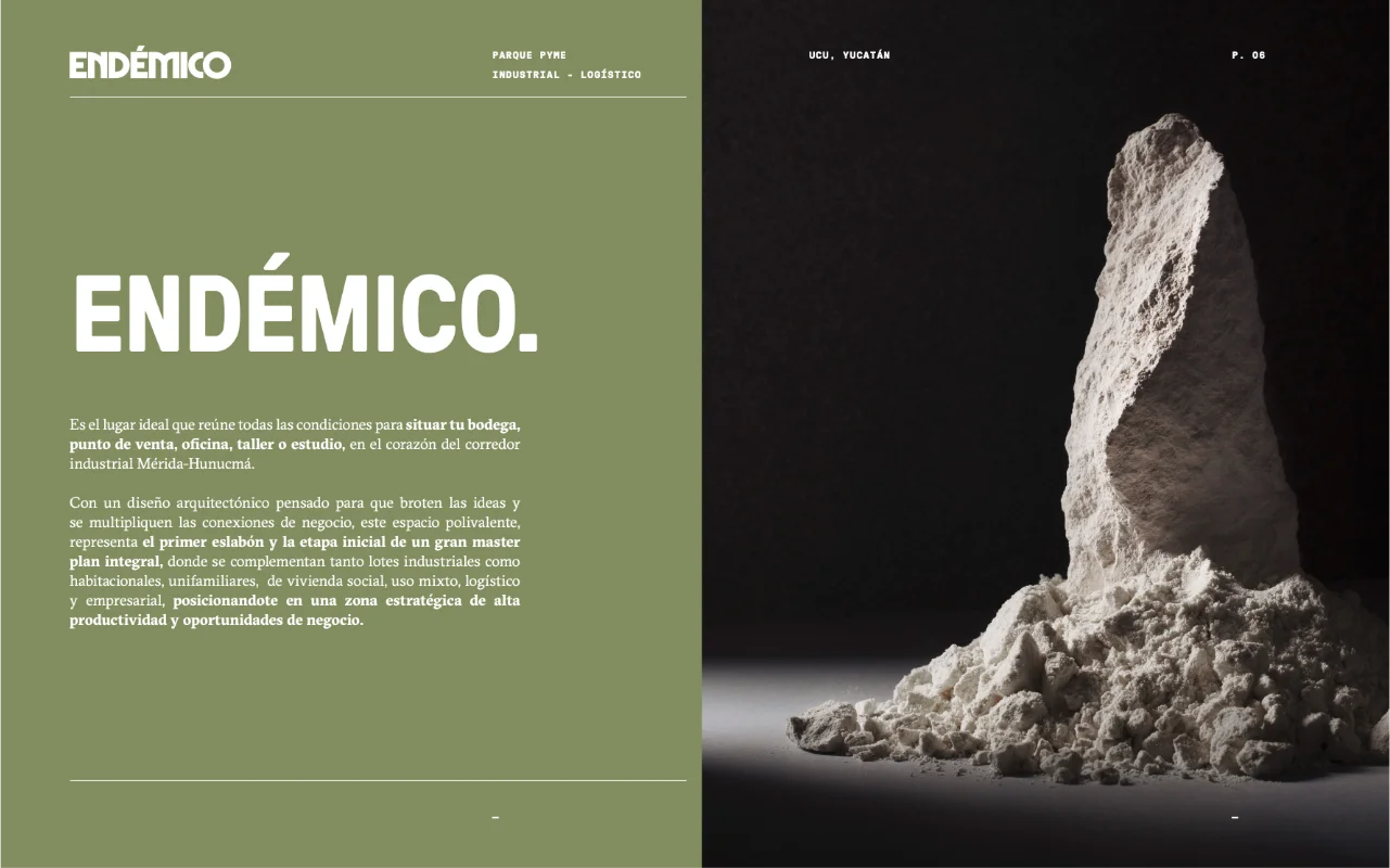 endemico 6