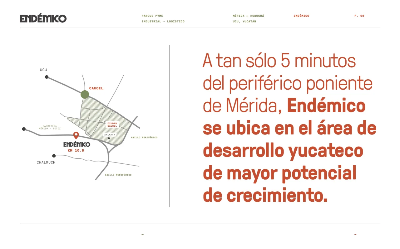 endemico 8
