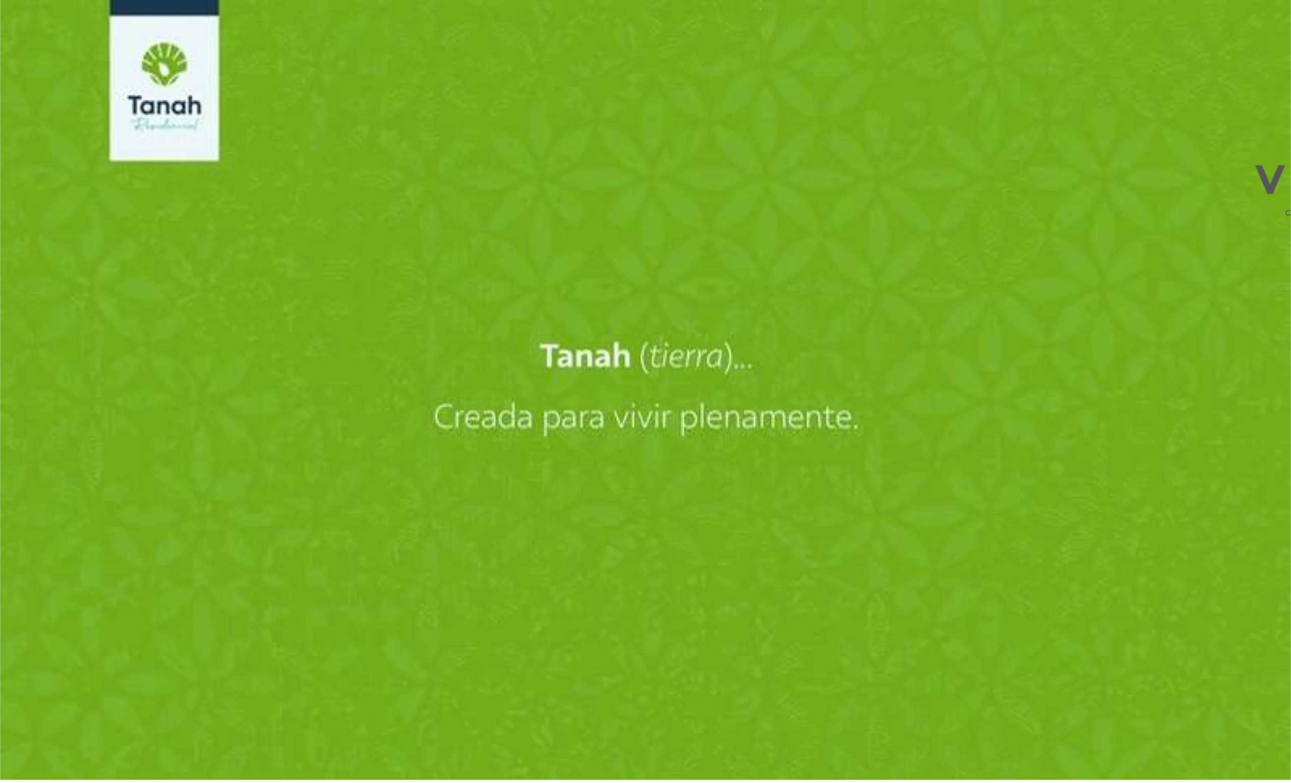 tanah 2