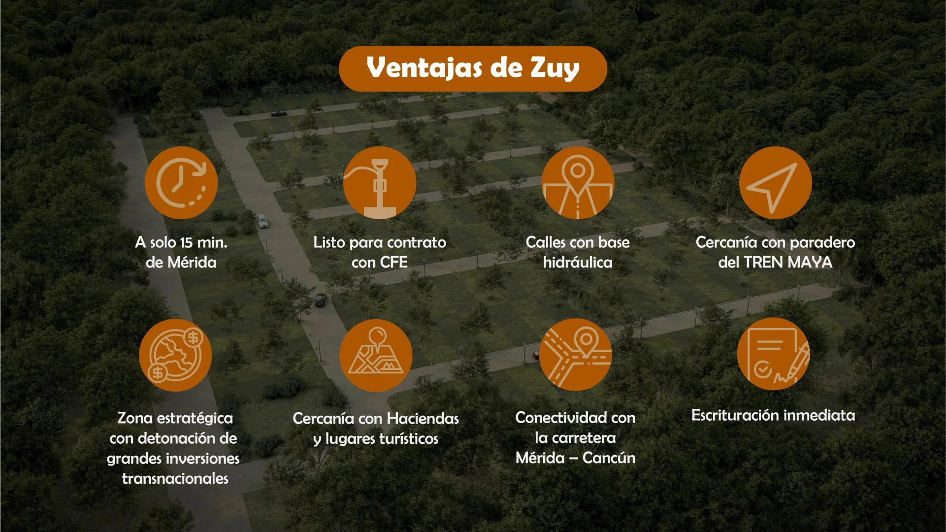 zuy9