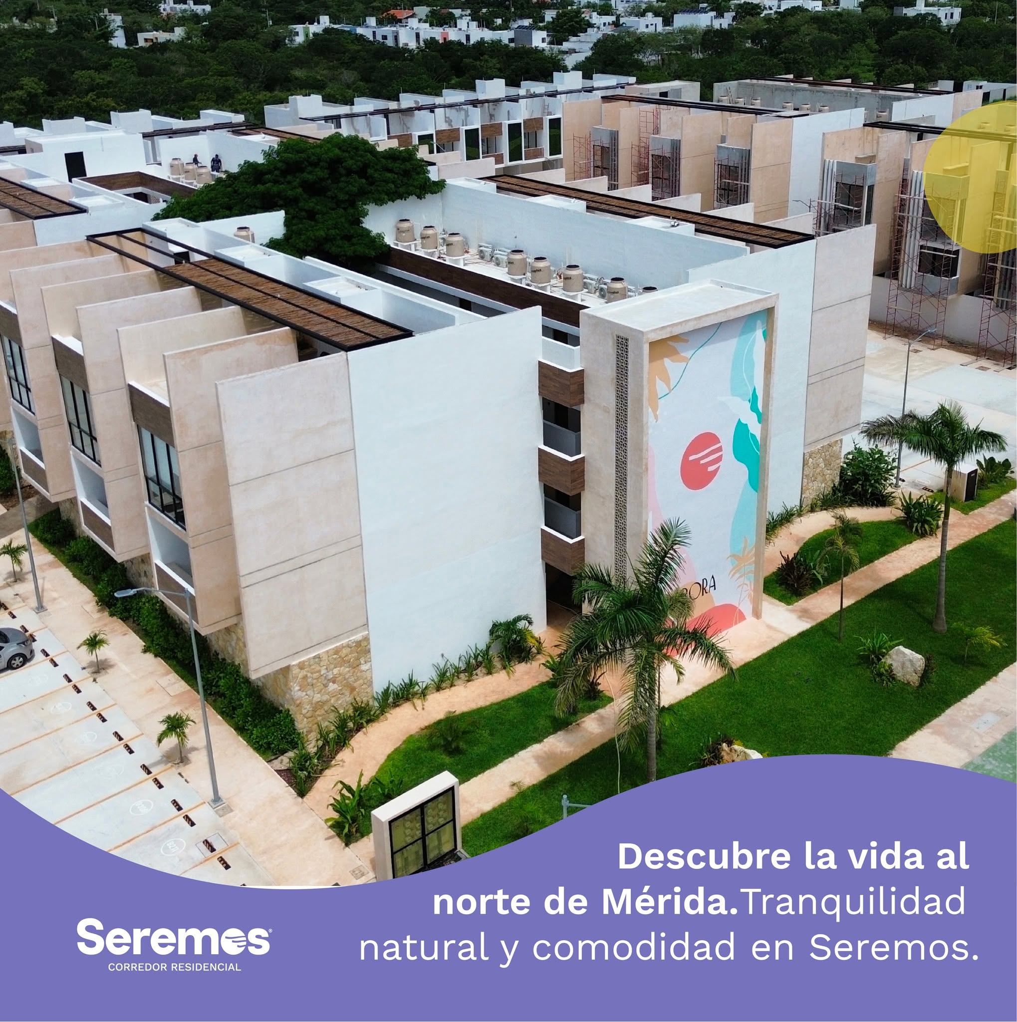 SEREMOS_50